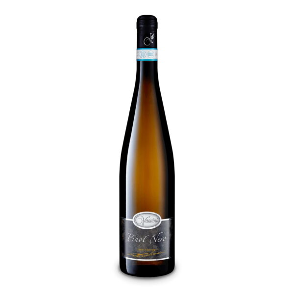 Pinot Nero DOC pusiau putojantis vynas frizzante